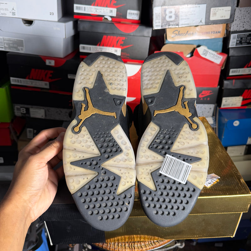 Jordan 6 Retro DMP (Preowned) (Sz 10)