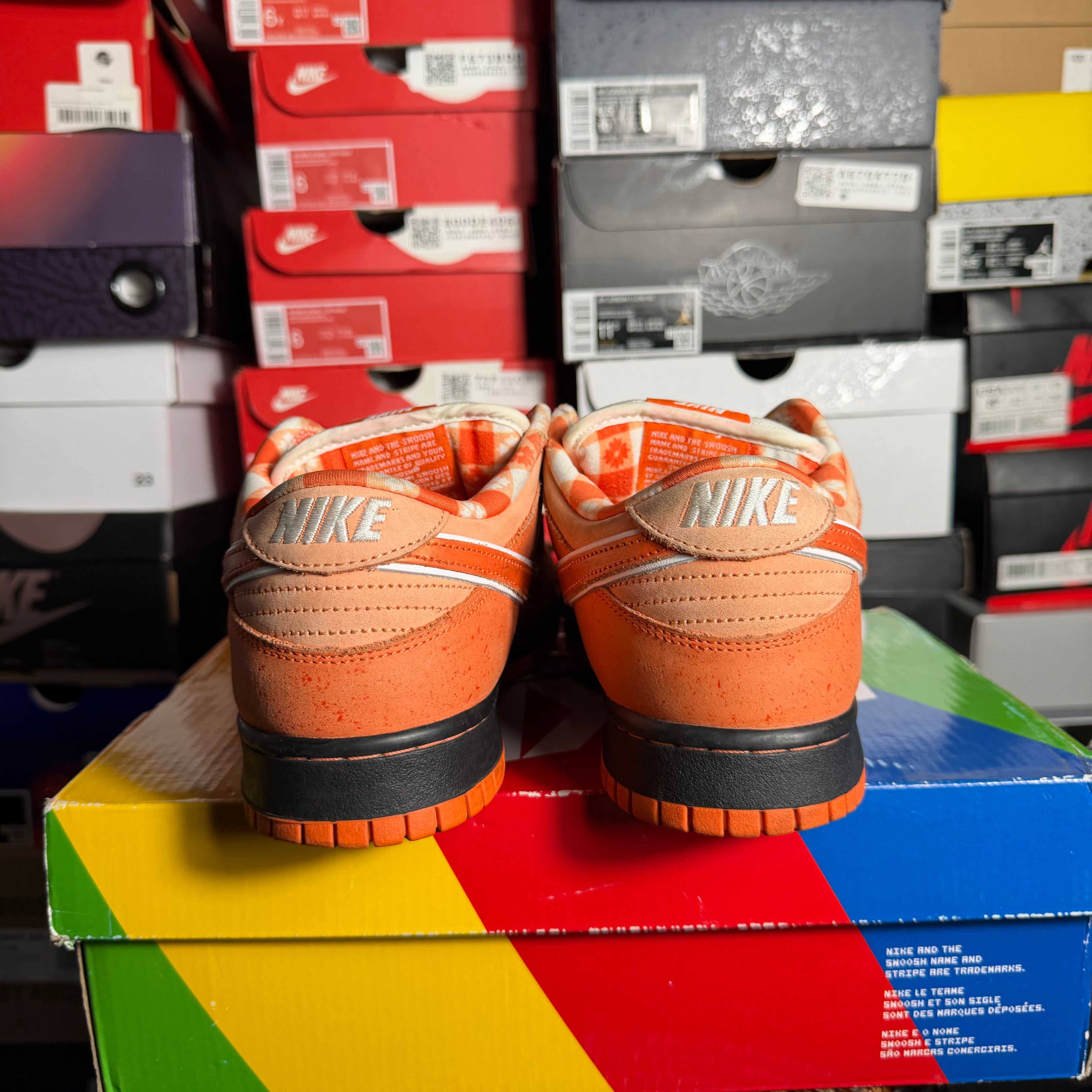 Nike SB Dunk Low Concepts Orange Lobster (Preowned)