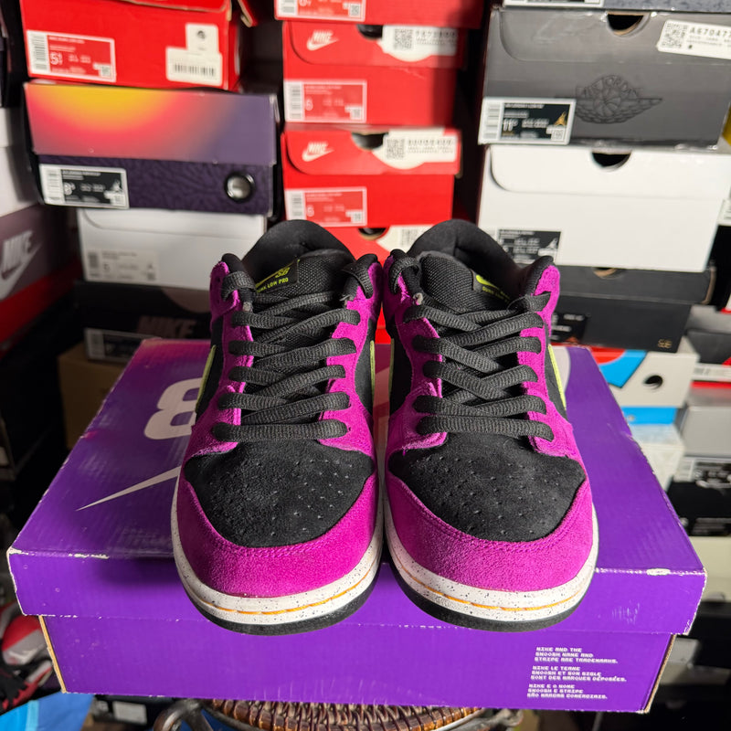 Nike SB Dunk Low Pro ACG Terra Red Plum (Preowned)