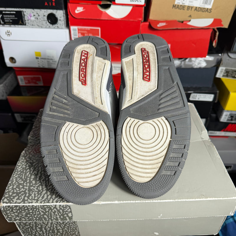 Jordan 3 Retro Cool Grey (Preowned)