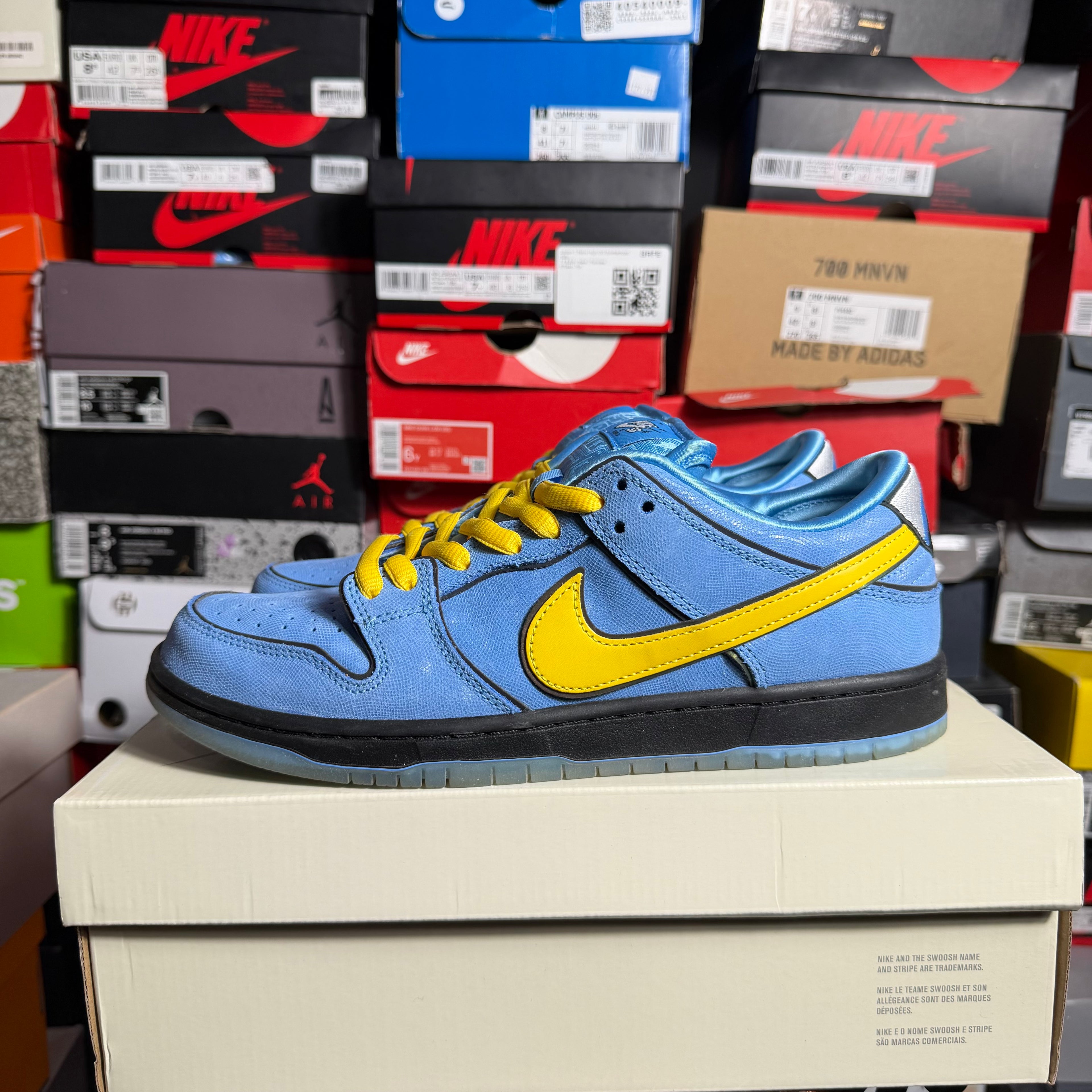 Nike SB Dunk Low The Powerpuff Girls Bubbles (Preowned)