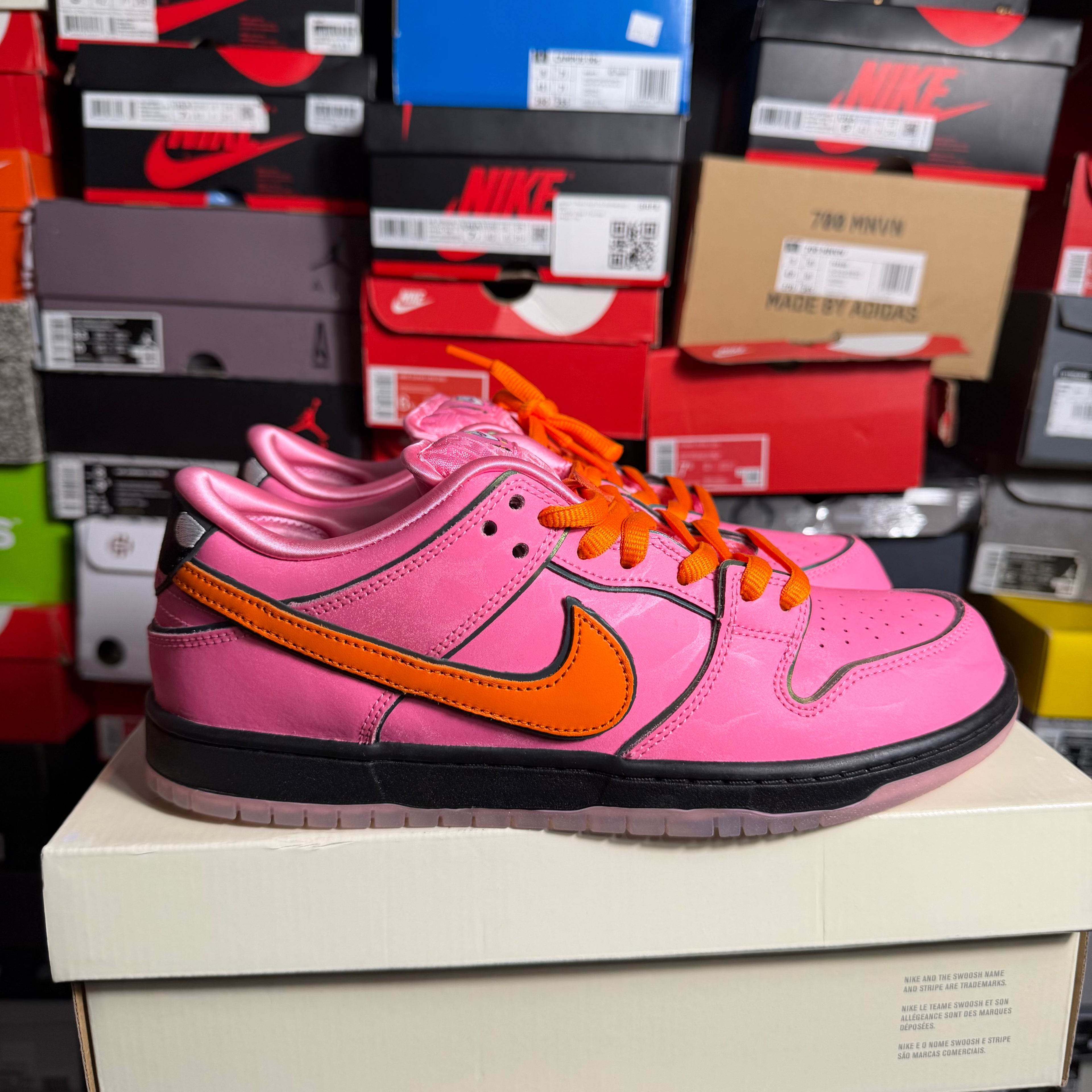 Nike SB Dunk Low The Powerpuff Girls Blossom (Preowned)